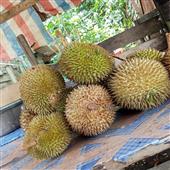Kiếm