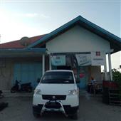 Gấu 