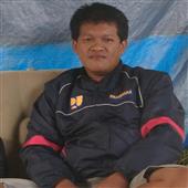 Trực