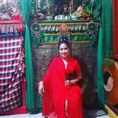 Luật