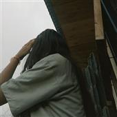 Trực