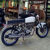 Bạch