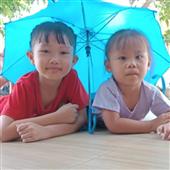 Bảng