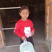 Cung