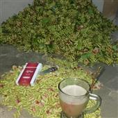 Bộ t