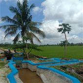 Bắ