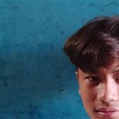 Poin