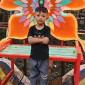 Mơ t