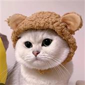 Giải