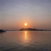Tỷ 