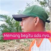 Bxh 