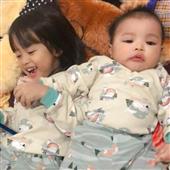 Luật