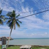 Tiệc