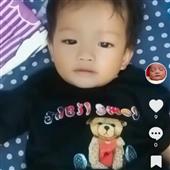 Gấ