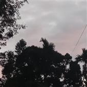 Thùn