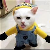 TI