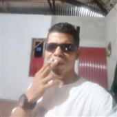Trâu