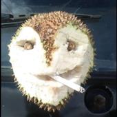 Wor