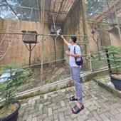 Nhà