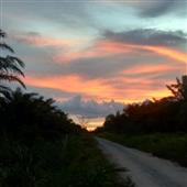 Bỏ