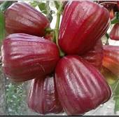 Bảng