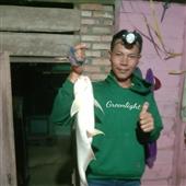 Cách