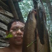 Tê Gi