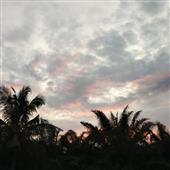 Trực 