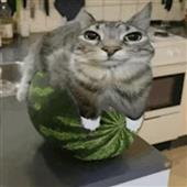 Tỷ l