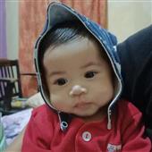 Hổ M