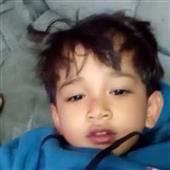 Luật