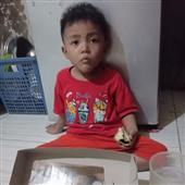 Meo