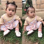 Thái