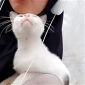 huyề