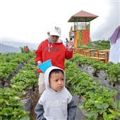 Cướp