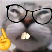 Tây 