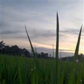 Bảng