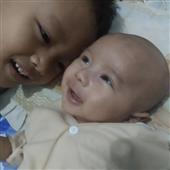 Trực