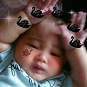 Poin