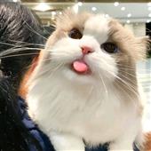 Kí