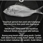 Timb