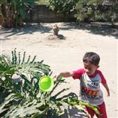Kẹo 