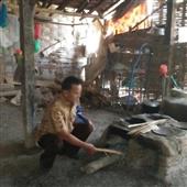 Trực