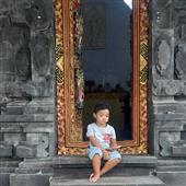 Luật