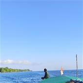 Cuộc 