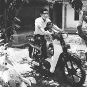Dự