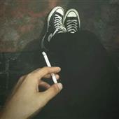 Bloc