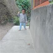 Lò R