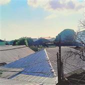 Luật