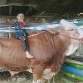 Bảng